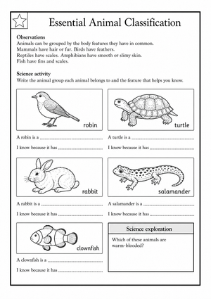 Essential Animal Classification | Grade 1-2 Science