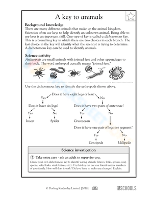All about arthropods