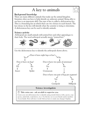Essential Grade 5 Arthropod Classification Worksheet
