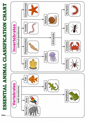 Essential Animal Classification Chart | Grade 4 Science