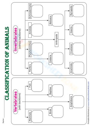 Grade 3-4 Animal Classification | Printable Worksheet