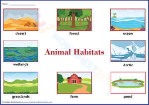 Animal Habitats Chart