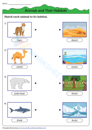 Matching Animals to Their Habitats