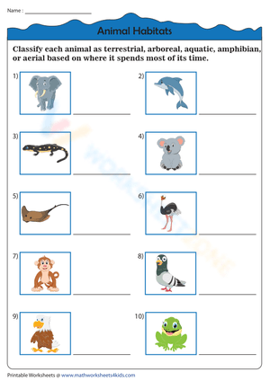 Classifying Animals Based on Their Habitats