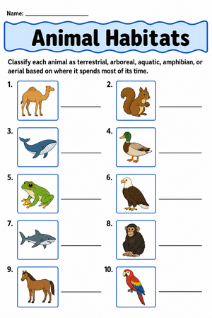 Grade 3 Animal Habitats — Printable No-Prep Worksheet