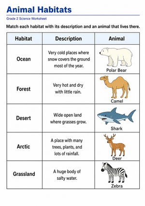 Grade 2 Animal Habitats — Printable No-Prep Worksheet