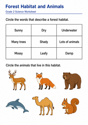 Essential Forest Habitat & Animals Worksheet | Grade 2