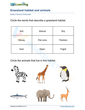 Exploring Grassland Habitats and Animals Activity