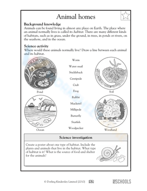Matching Animals To Their Natural Habitats Worksheet