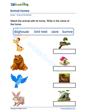 Animal homes 3