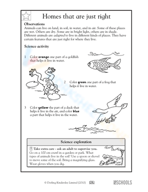 Animal homes that are just right