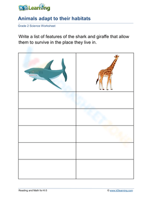 Animals adapt to their habitats: shark - giraffe