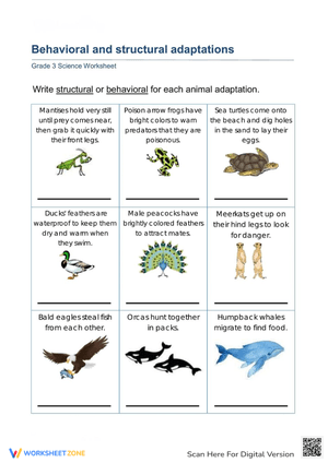 Science Worksheet on Animal Adaptations