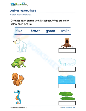 Animal Camouflage and Habitat Matching Activity