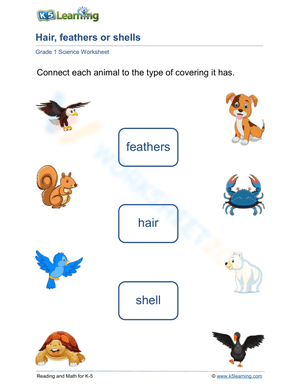 Printable Animal Coverings Worksheet | Grade 1 Living Things
