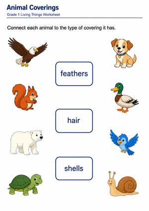 Grade 1 Animal Coverings — Printable No-Prep Worksheet