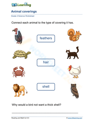 Printable Animal Coverings Worksheet | Grade 2 Science