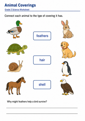 Printable Animal Coverings Worksheet | Grade 2 Science