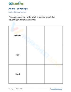 Essential Animal Coverings Worksheet | Grade 2 Science