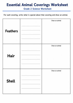 Grade 2 Animal Coverings — Printable No-Prep Worksheet