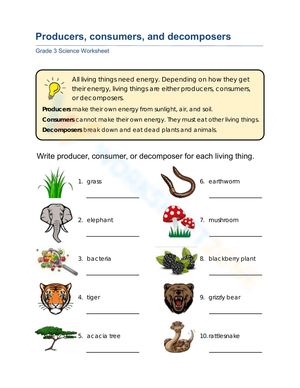 Identifying Producers Consumers and Decomposers