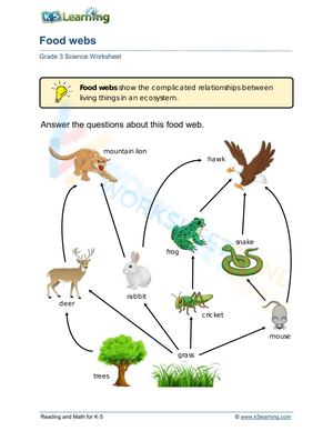 Understanding Ecosystems With Food Web Diagrams