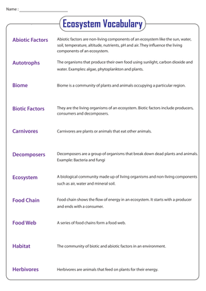 Essential Ecosystem Vocabulary Worksheet | Grade 4-6 Science