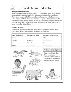Grade 4 Food Chains — Printable No-Prep Science Worksheet
