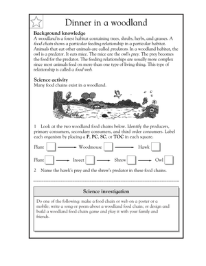 Essential Woodland Food Chains Worksheet | Grade 5 Science