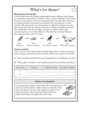 Essential Grade 5 Food Chain Worksheet | Science Aligned