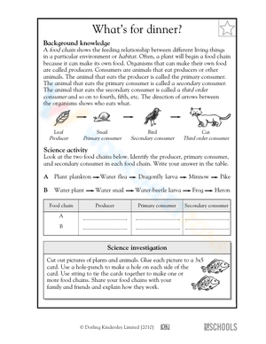 Parts of the food chain