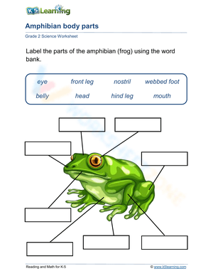 Amphibian body parts