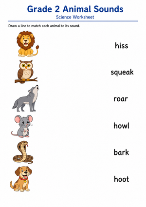Grade 2 Animal Sounds — Printable No-Prep Worksheet