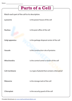 Parts of a Cell