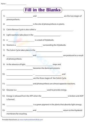 Photosynthesis | Fill in the blanks