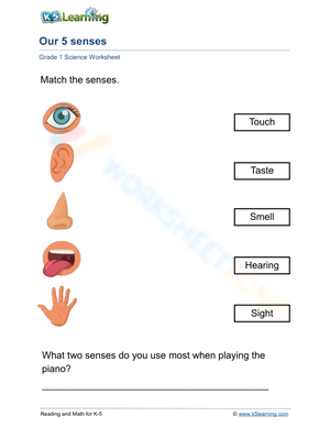 Identify our 5 senses