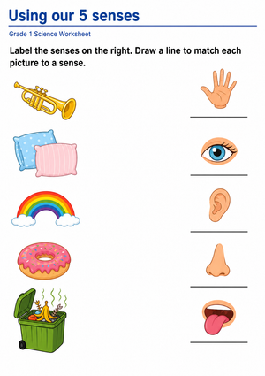 Printable 5 Senses Worksheet | Grade 1 Science Ready