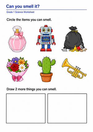 Essential Grade 1 Sense of Smell Science Worksheet