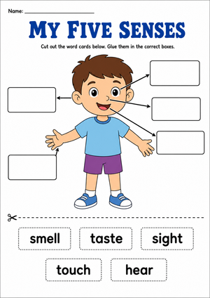 Grade 1 Five Senses — Printable No-Prep Worksheet