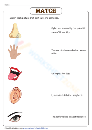 Significance of the five senses