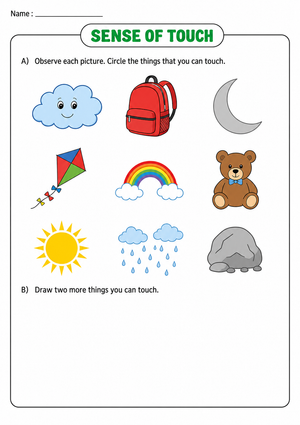 Grade 1-2 Sense of Touch — Printable No-Prep Worksheet