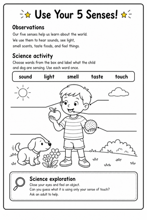 Grade 1 Five Senses — Printable No-Prep Worksheet