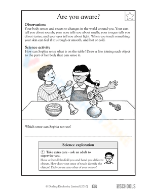 Exploring The Five Senses: Are You Aware Science Worksheet