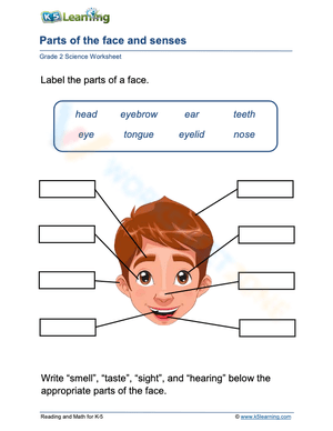 Parts of the face and senses