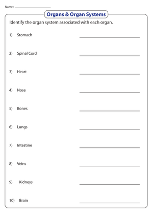 Grade 4 Organs & Organ Systems — Printable No-Prep Worksheet