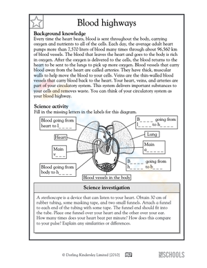 Parts of the human heart