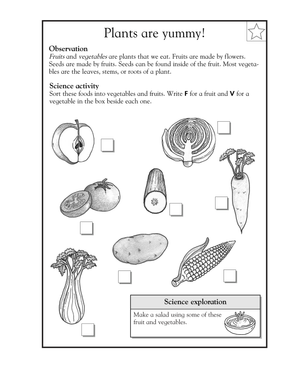 Essential Grade 1 Plants are Yummy Sorting Worksheet