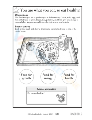 You are what you eat
