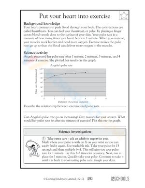Exercise and the human heart