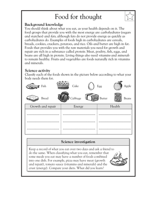 Food Groups Worksheet | Printable Grade 5 Science